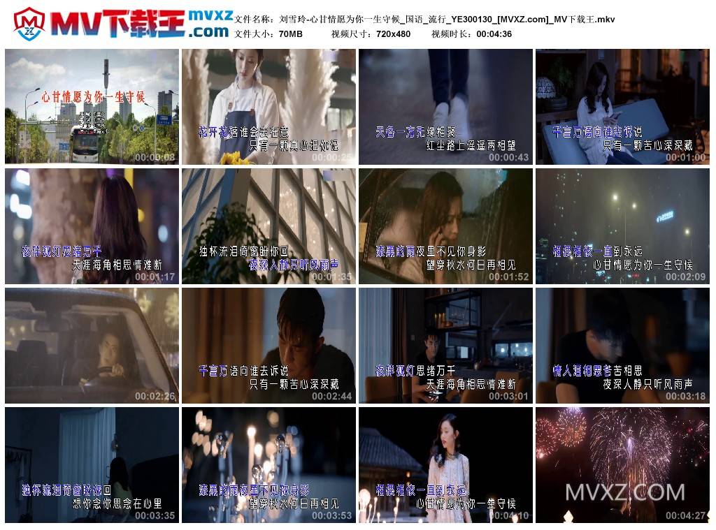 刘雪玲-心甘情愿为你一生守候_国语_流行_YE300130
